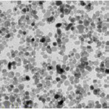 copper oxide nanoparticles sem