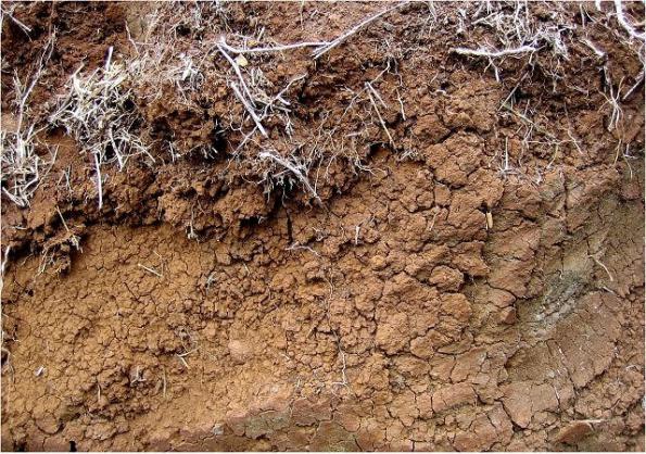 استفاده از نانوذرات خاک رس به دو روش