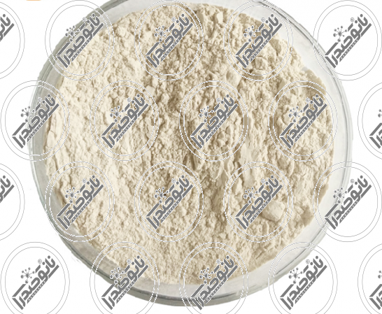 تولید انواع نانو خاک رس با بهترین کیفیت در ایران