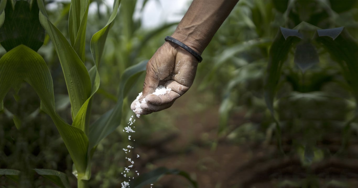 کود نانو آکسون