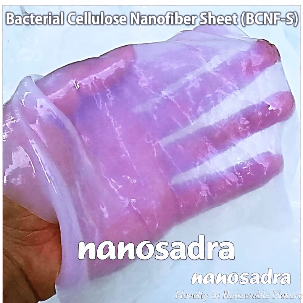 فیلم نانو فیبر سلولز باکتری