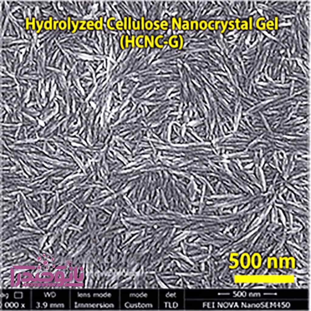 ژل نانو کریستال سلولز هیدرولیز 3 درصد